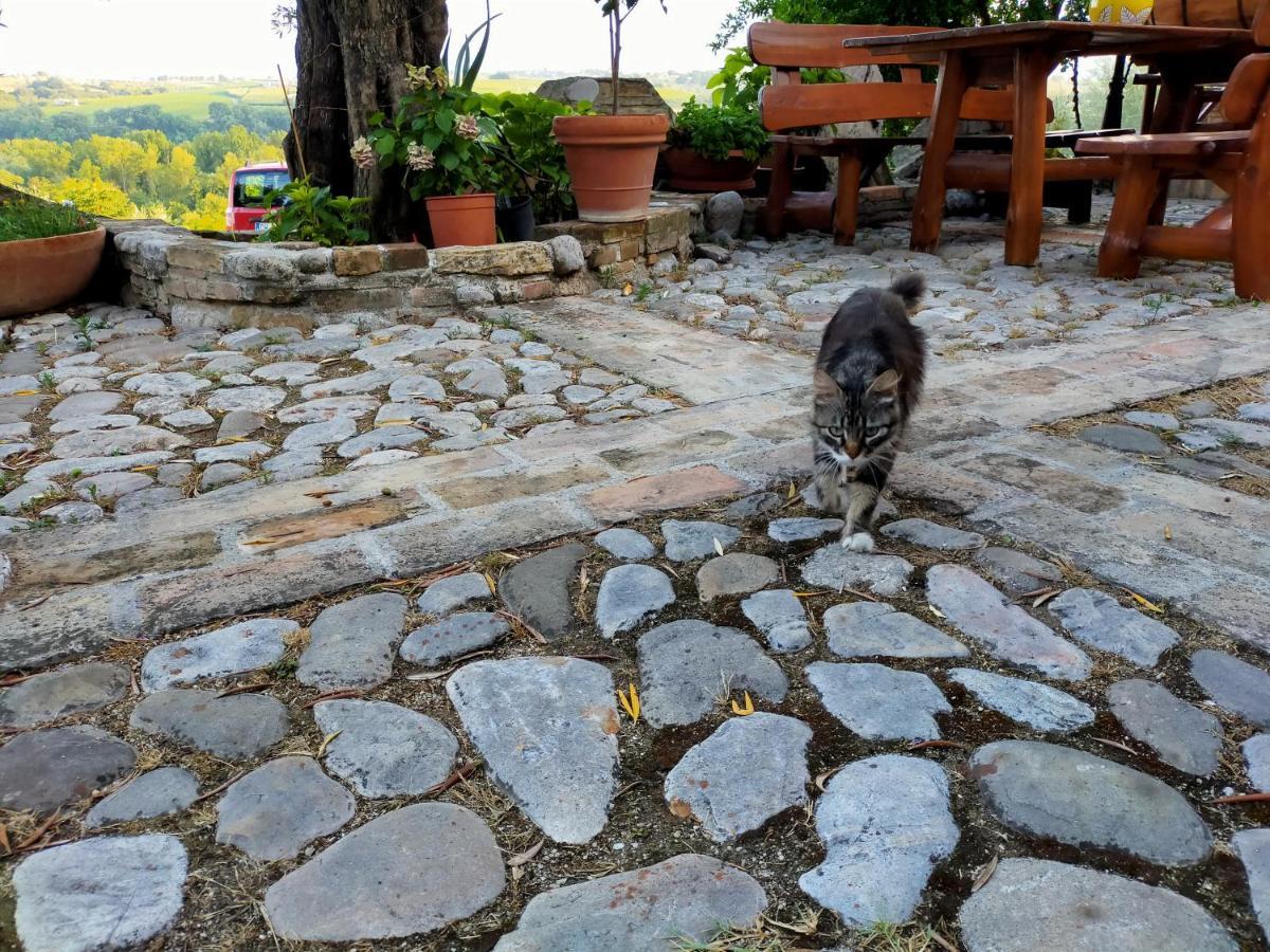 Bed and Breakfast Casale Del Sole Cepagatti Экстерьер фото